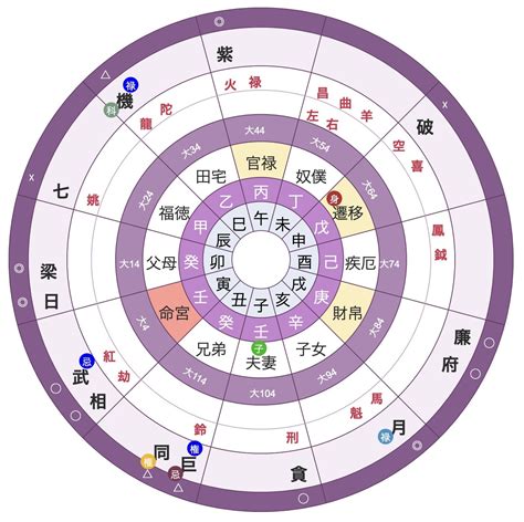 紫微斗数 2024|紫微斗数占い｜あなたの「本質・性格・運命」を完全 